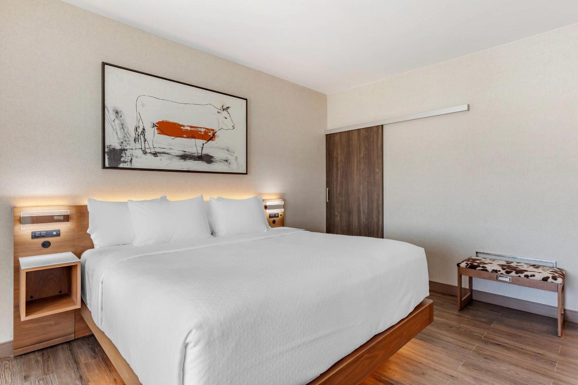 Cambria Hotel Richardson - Dallas Bagian luar foto